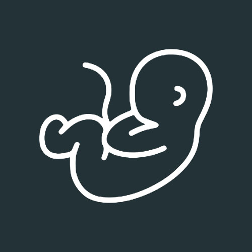 icone-pre-natal-alto-risco